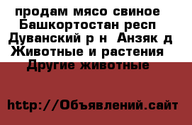 продам мясо свиное - Башкортостан респ., Дуванский р-н, Анзяк д. Животные и растения » Другие животные   